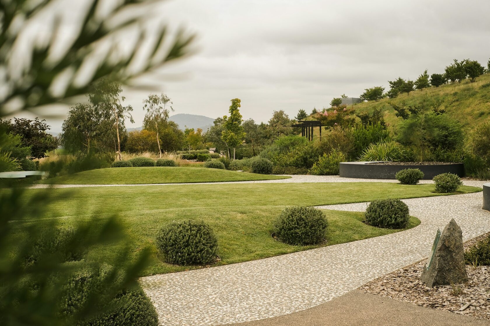 Australian landscaping project showing layered native planting and stonework.